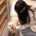 春日部大开发汉化版下载